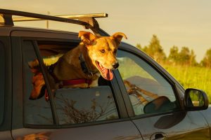 Unique Reasons for Automotive Window Tinting