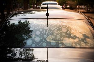 Top Signs You Need New Window Tint